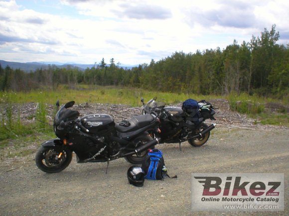 1999 Triumph Daytona 1200 SE (Special Edition) photo